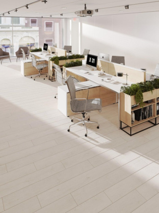 Ламинат Egger 8/33 Classic Без фаски Дуб Ньюбери Белый