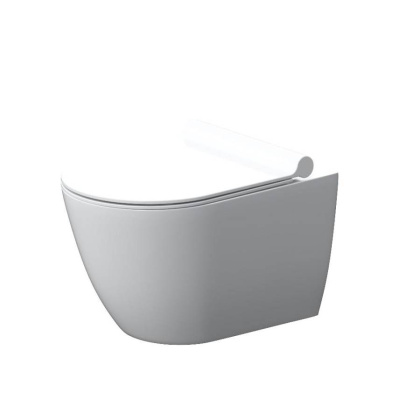 DX22C1700SC Apollo Унитаз подвесной без ободка с сиденьем микролифт