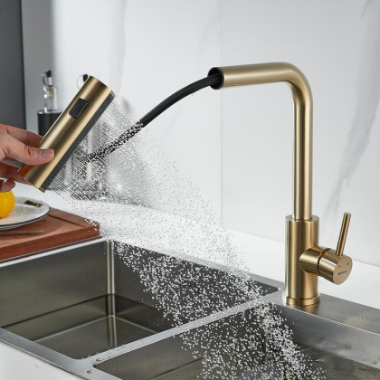 Смеситель для кухни с выдвижной лейкой Shevanik S263 S263G