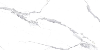 Calacatta Splendid Silver Керамогранит белый 60х120 Матовый Calacatta Splendid Silver Керамогранит белый 60х120 Матовый