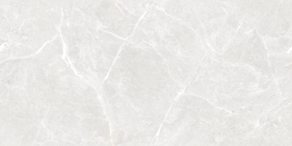 Stone Cool White Керамогранит белый 60х120 Полированный Stone Cool White Керамогранит белый 60х120 Полированный
