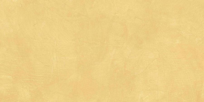 SR04 60x120х10 Непол.Рект. (Керамический гранит) SR04/NS_R10/60x120x10R/GW