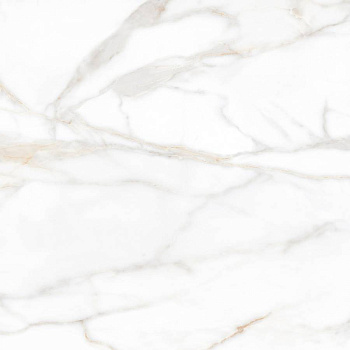 SM02 60x60x10 Полир. (Керамический гранит)