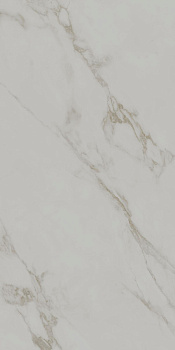 Монте Тиберио серый светлый матовый обрезной 60x119,5x0,9
