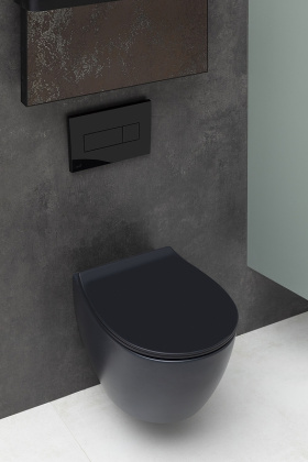 Чаша подвесного унитаза Allen Brau Fantasy 4.11004.31 черный матовый Чаша подвесного унитаза Allen Brau Fantasy 4.11004.31 черный матовый