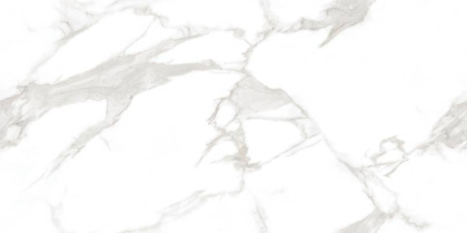 Statuario Perfect Silver Керамогранит белый 60х120 Полированный Statuario Perfect Silver Керамогранит белый 60х120 Полированный