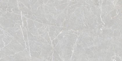 Duna - Eternal - Керамогранит - Grigio Carving 60x120