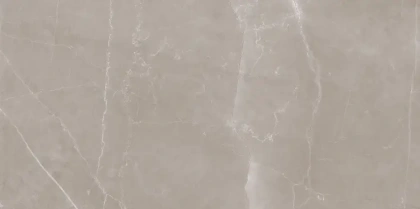 6260-0017 Керамогранит Блюм_LB _ мокко_ 30*60,3_46,08/1