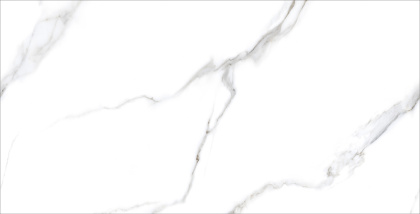 Керамогранит Statuario Carvino 60х120 Matt (2 шт.в уп)