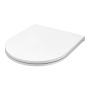 Сиденье для унитаза с микролифтом быстросъемное, 3,8х36,6х44,9 см, белое, C507853WH Inspire