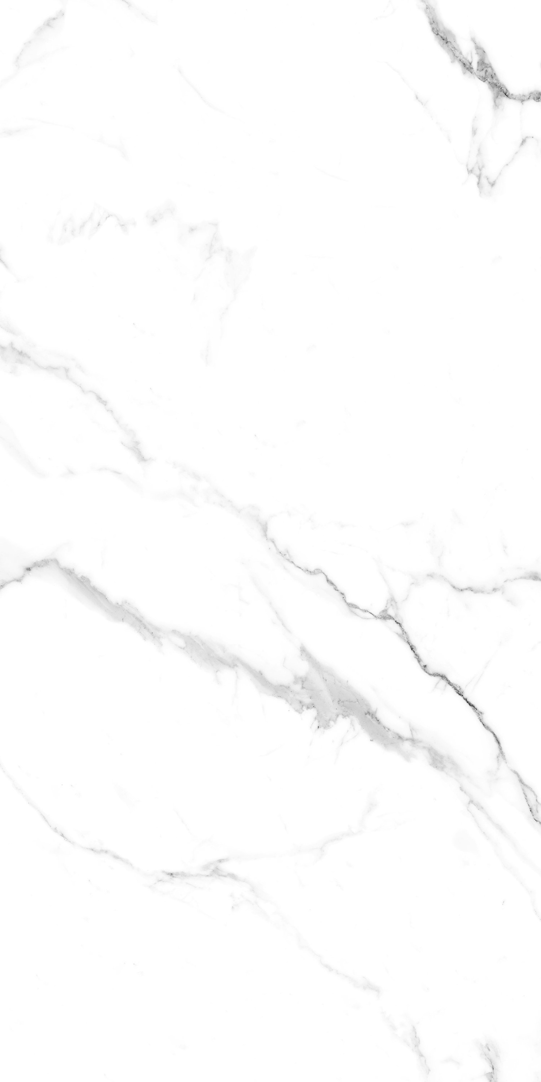 Керамогранит 600х1200 CARIBBEAN WHITE Керамогранит 600х1200 CARIBBEAN WHITE