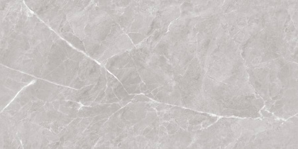 Mramor Chic Silver Керамогранит серый 60х120 Полированный Mramor Chic Silver Керамогранит серый 60х120 Полированный