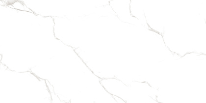 Duna/Velsaa - Керамогранит - Sisam White Glossy (Серия LIGHT)- 120х60 см Duna/Velsaa - Керамогранит - Sisam White Glossy (Серия LIGHT)- 120х60 см
