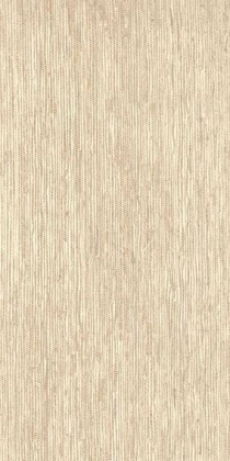 Керамогранит Bali Dyne 30х60