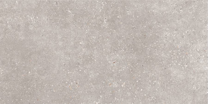 GT183VG Керамогранит Coral Rock_GT Сер. 30x60 _ 1\58,32
