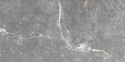 GT99VG Плитка облицовочная Capella GT Сер. 50*25 _ 1 \74,25