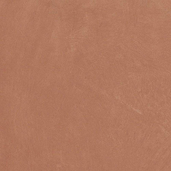 Керамогранит Argillae Coral Rect 60х60