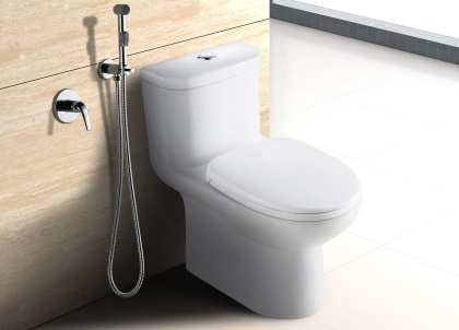 Смеситель Lemark Plus Advance LM1219C с гигиеническим душем, встраиваемый Смеситель Lemark Plus Advance LM1219C с гигиеническим душем, встраиваемый