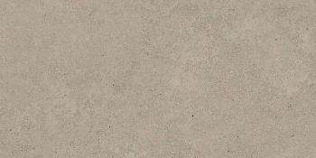 60x120 StoneSystem Терра Табачный Матовый R10A