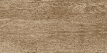 6260-0211 Керамогранит Nostrum_GT Бежевый 30x60 _ 1\46,08