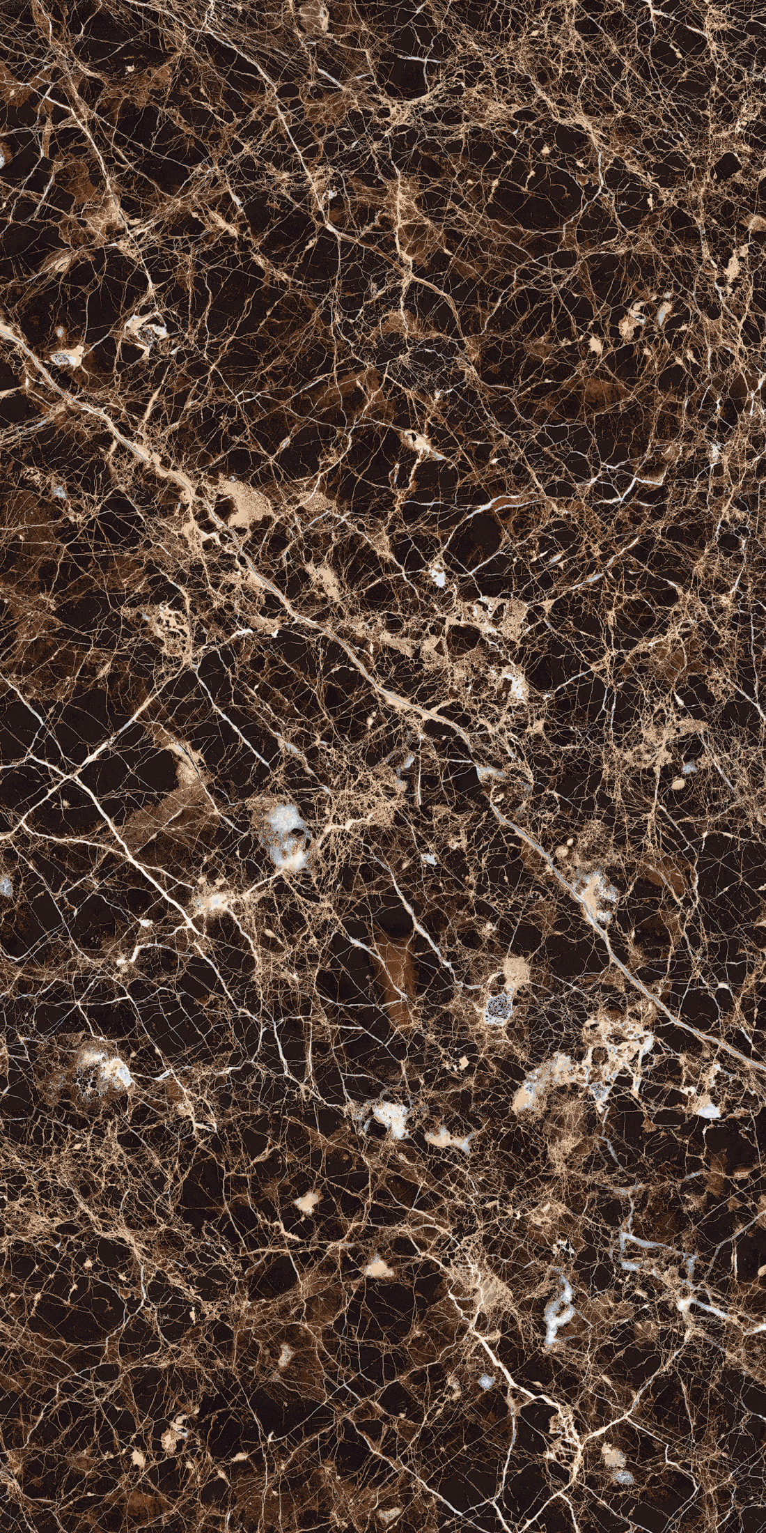 Керамогранит 600х1200 EMPERADOR GRAND BROWN Керамогранит 600х1200 EMPERADOR GRAND BROWN