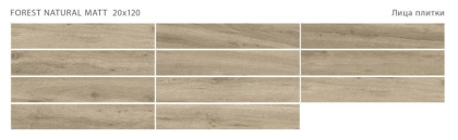 Керамогранит матовый FOREST NATURAL 20x120 MATT, Forest Керамогранит матовый FOREST NATURAL 20x120 MATT, Forest