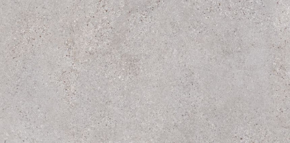 6260-0191-1001 Керамогранит Трэверс_LB Светл. сер. 30x60 _ 1\46,08