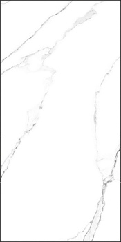 GT120600203MR Плитка грес глаз. Marmo_GT Белый 60*120 _ 1 \43,2