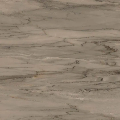 Palissandro Керамогранит Коричневый K945324LPR 60x60