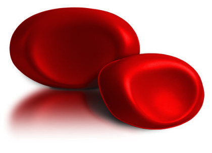 Подголовник Viva Maxi (VMR) Подголовник Viva Maxi (VMR)