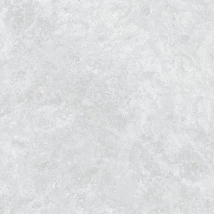 Ocean Fairy Керамогранит светло-серый 60х60 Полированный Ocean Fairy Керамогранит светло-серый 60х60 Полированный