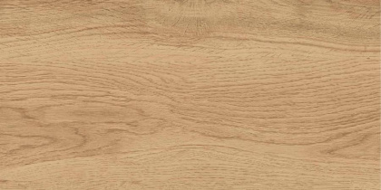 GT220VG Керамогранит Florida_GT Беж. 30x60 1\58,32