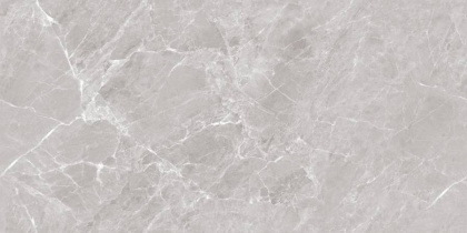 Mramor Chic Silver Керамогранит серый 60х120 Полированный Mramor Chic Silver Керамогранит серый 60х120 Полированный