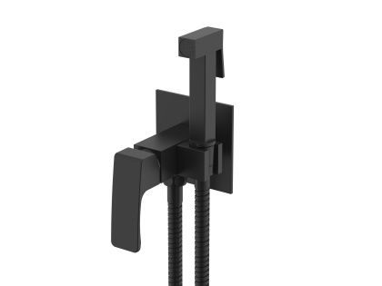 Смеситель Raglo встраиваемый с гигиеническим душем R01.52