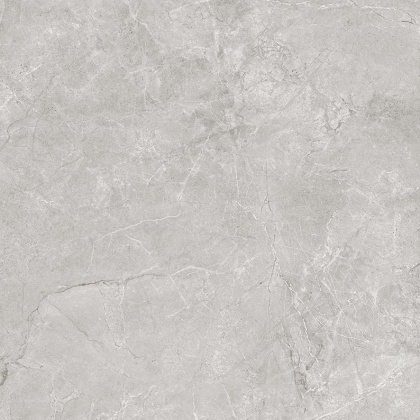 Pluto Silver Керамогранит светло-серый SG625820R 60х60 матовый Pluto Silver Керамогранит светло-серый SG625820R 60х60 матовый