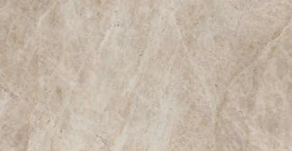 Керамогранит MO08 30,6x60,9x8 Непол.