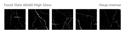Керамогранит FOSSIL SLATE 60х60 HIGH GLOSS, Oasis
