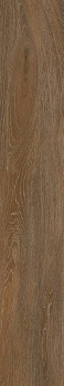 Керамогранит Forest Ocher 19,4х120 непол.