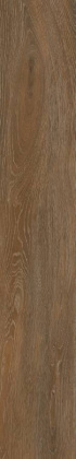 Керамогранит Forest Ocher 19,4х120 непол.