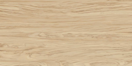 Керамоганит SG565220R Олива бежевый обрезной (119,5см*60см*9мм) (3шт/2,151м2) , м2