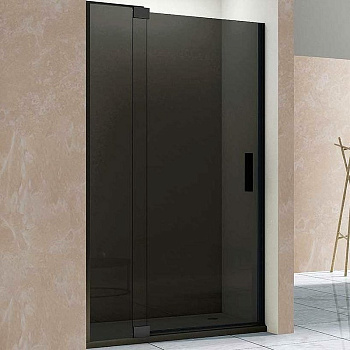Душевая дверь Extra VDP-1E1112CGB, 1100/1200, черный, стекло тонированное