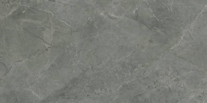 Pluto Grigio Керамогранит серый SG50005320R 60х119,5 матовый