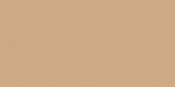 Керамогранит RW15 60x120 Непол.Рект.