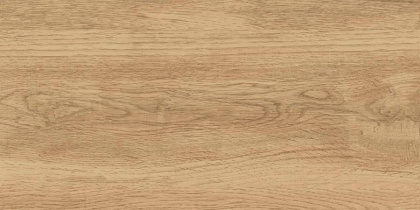 GT220VG Керамогранит Florida_GT Беж. 30x60  1\58,32