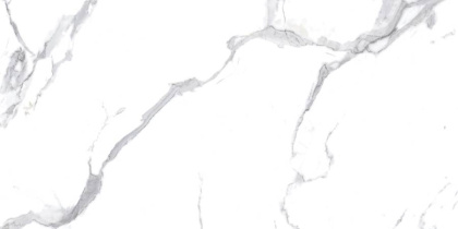 Calacatta Splendid Silver Керамогранит белый 60х120 Матовый Calacatta Splendid Silver Керамогранит белый 60х120 Матовый