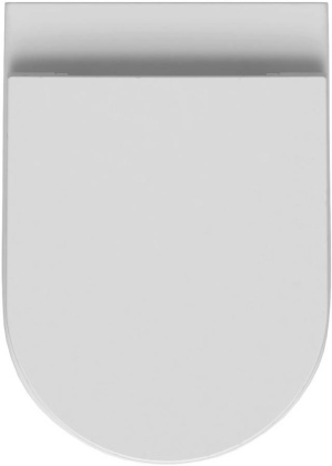 Приставной унитаз Allen Brau Reality 4.32004.20