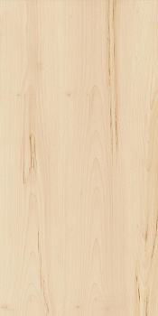 Керамогранит Элемент Ачеро 60х120 (2шт*1,44м2), м2