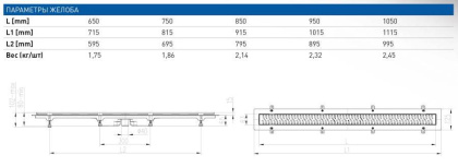 Душевой лоток 65 см Creto Walkway CRE-650 WH-Down с решеткой, хром