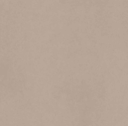 Керамогранит CA00 60x60 Непол.Рект.