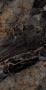 GT1206011705HPR Керамогранит Decorum_GT Черн. 60x120 суперполировка_ 1\46,08
